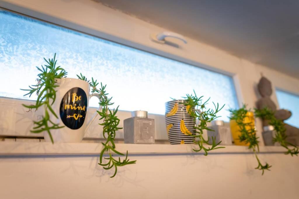 The Spot - Rooftop In The City Centre + Parking 希贝尼克 外观 照片